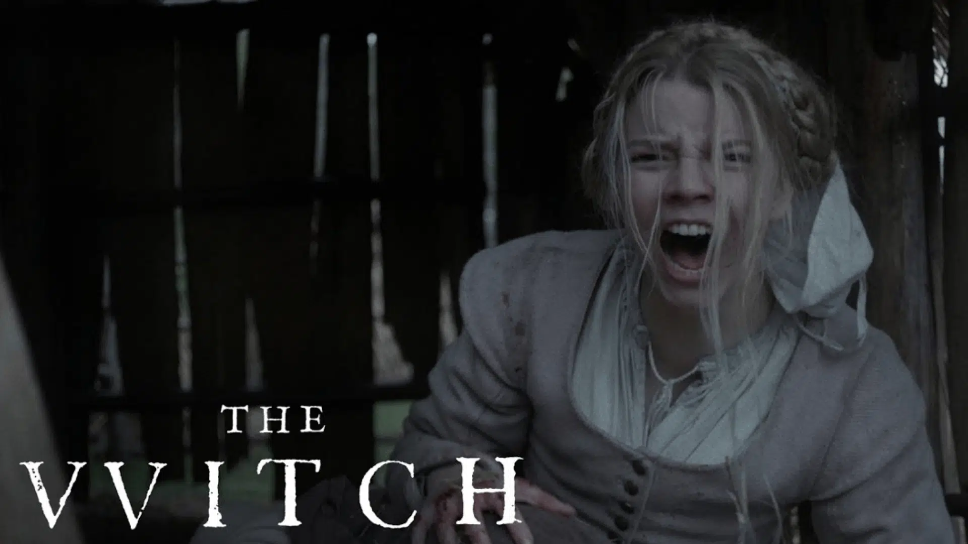 The Witch (The VVitch)