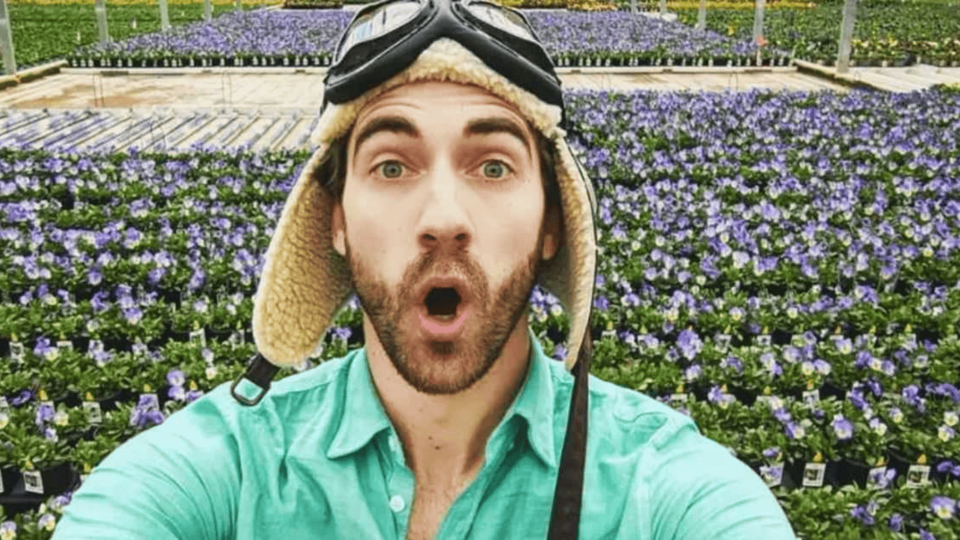 How Much is Danny Go Worth