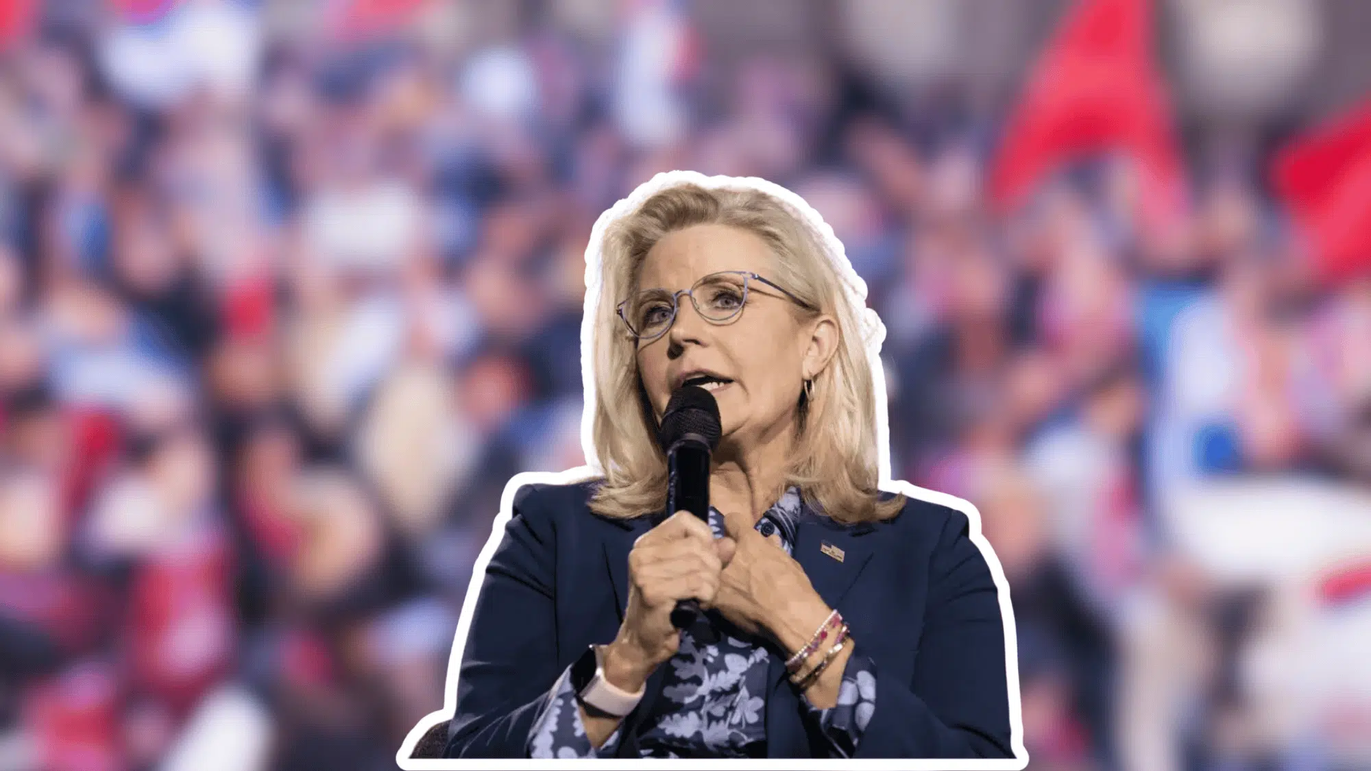 Liz cheney net worth