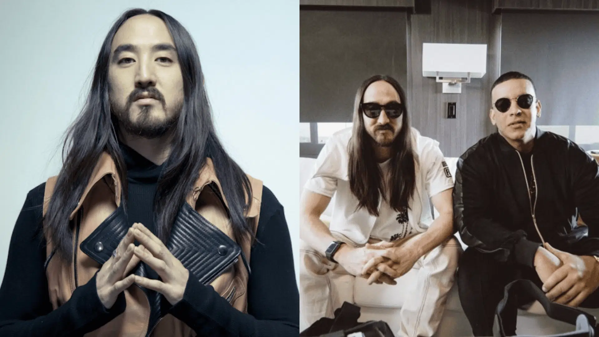 Steve Aoki Net Worth