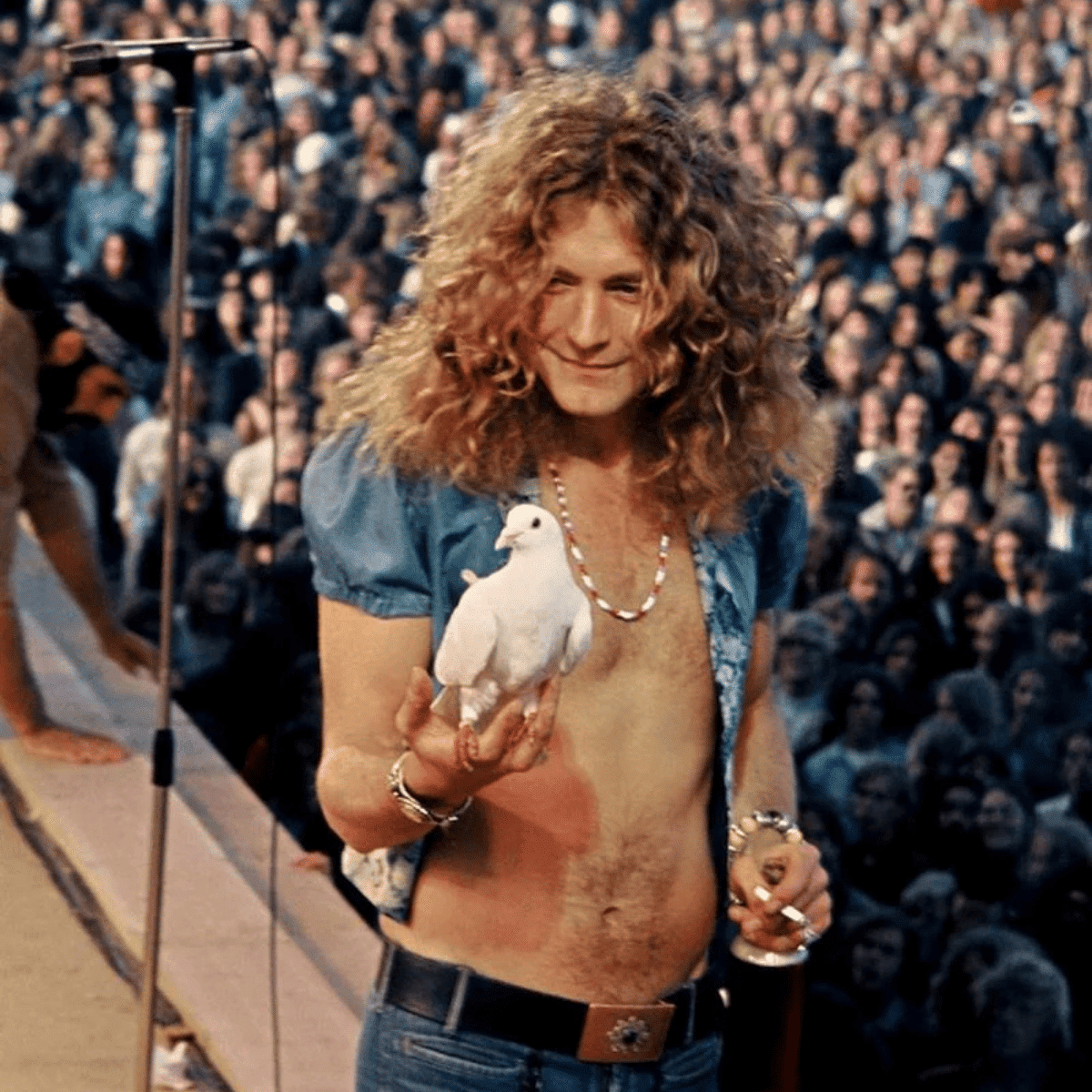 robert plant